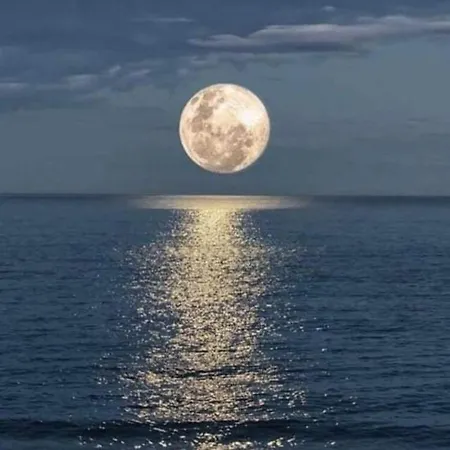 公寓 Seaside 依拉佩特拉